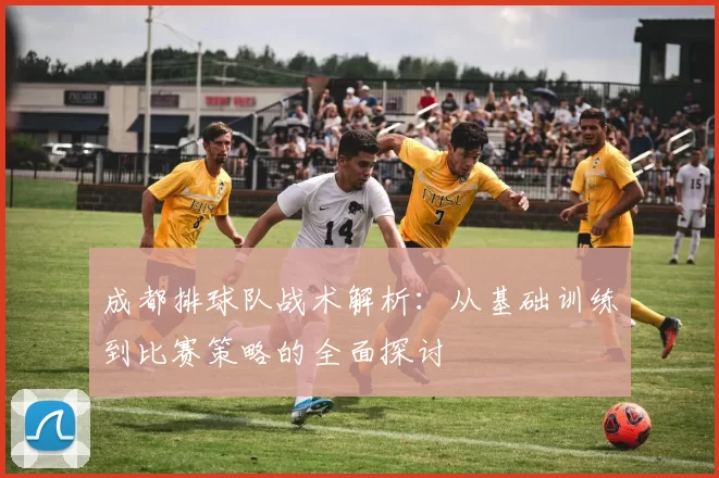 成都排球队战术解析：从基础训练到比赛策略的全面探讨