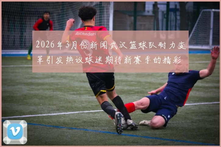 2026年3月份新闻武汉篮球队耐力变革引发热议球迷期待新赛季的精彩表现与突破