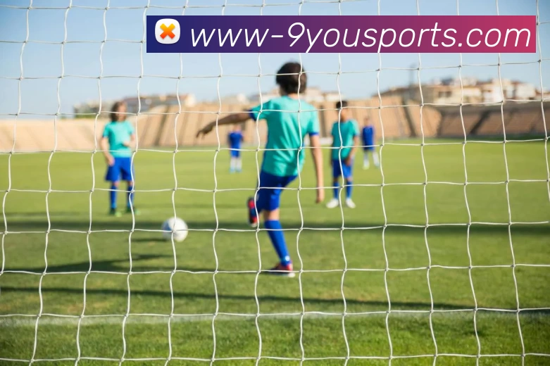 九游体育官网APP 封面图