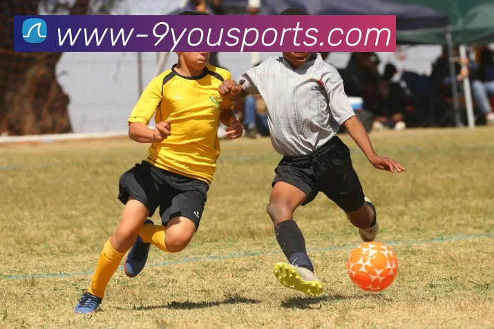 数据防护可视化